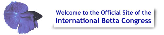 International Betta Congress