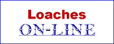 Loaches Online